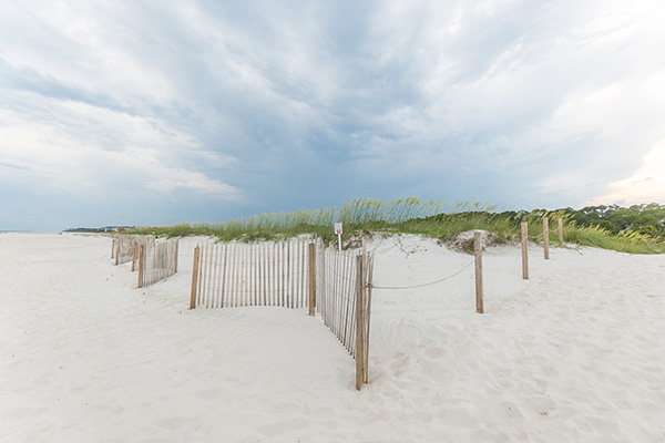 Sand fencing at beach dune