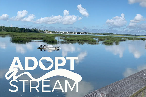 Adopt a Stream - Image of waterway with bridge in background