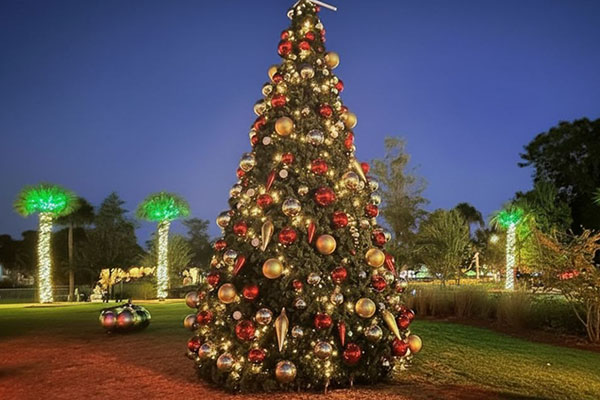 Decorated Christmas Tree in park with lighted palm trees in the backgorund