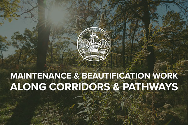 Maintenance & Beautification Work along Corridors & Pathways