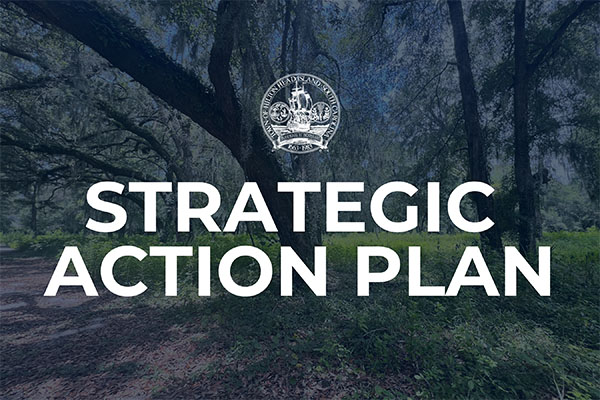 Strategic Action Plan cover page on dark background with faded trees with Town Logo watermark