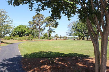 Walking Path around the Park