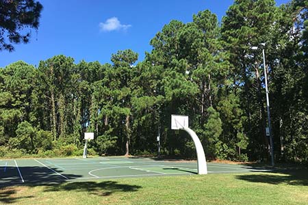 Basketball Courts among Trees