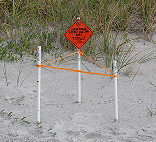Sea Turtle Nest Sign and barrier